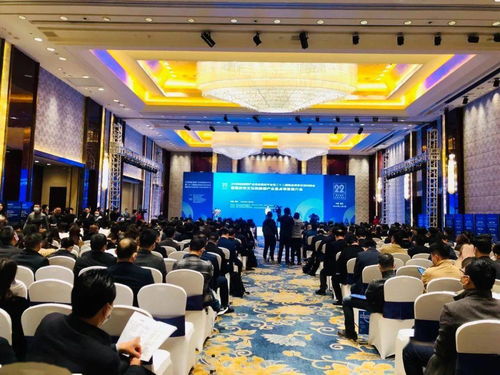 藝術(shù)新引擎，文旅新動能——文化與旅游部產(chǎn)業(yè)精品項目交流對接會在我市盛大舉行